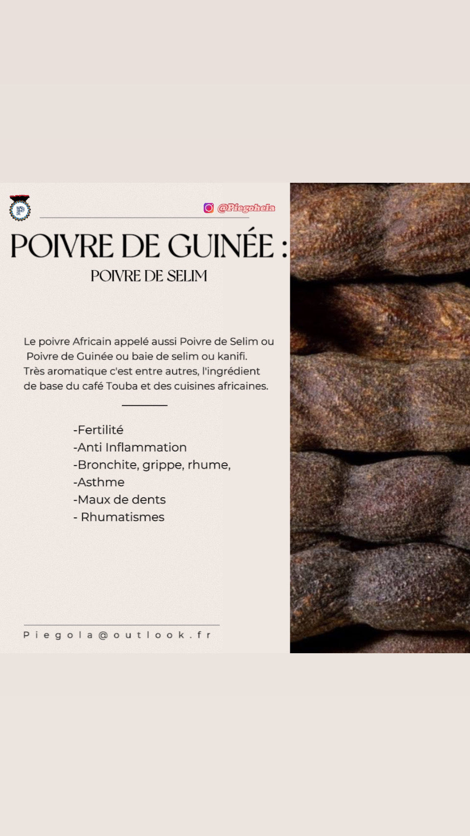 Poivre Long de Guinée