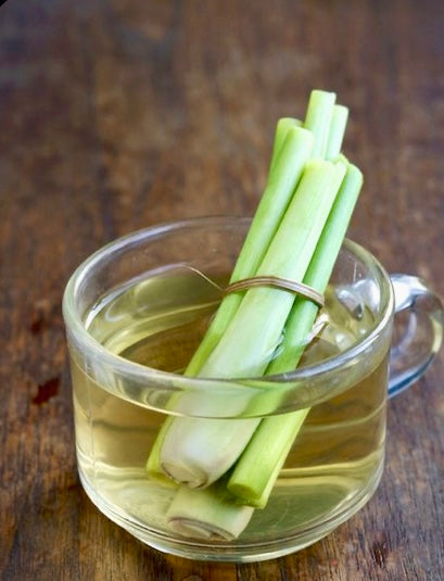 Citronnelle