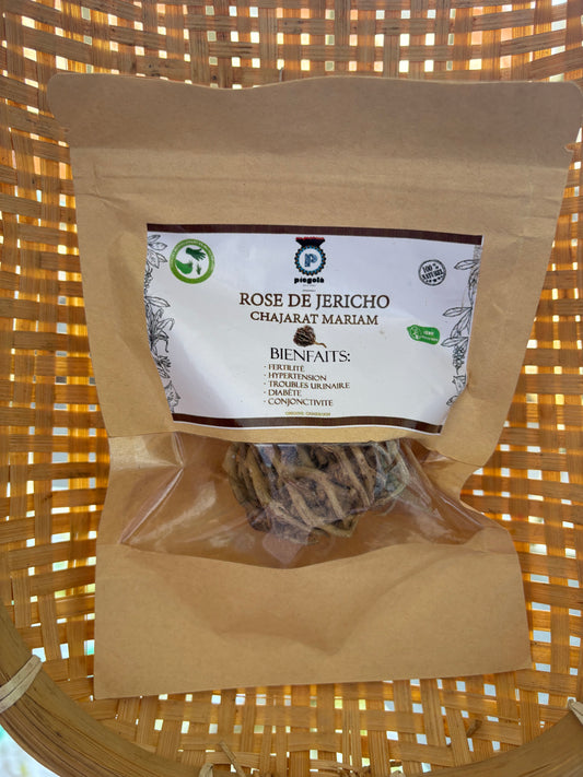 Rose de Jericho : Chajarat Mariam