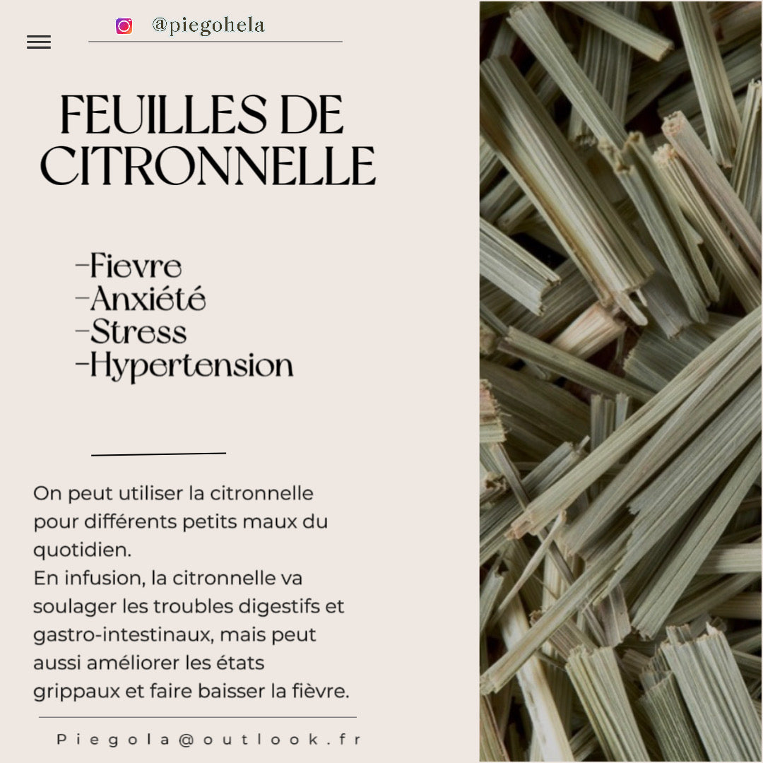 Citronnelle