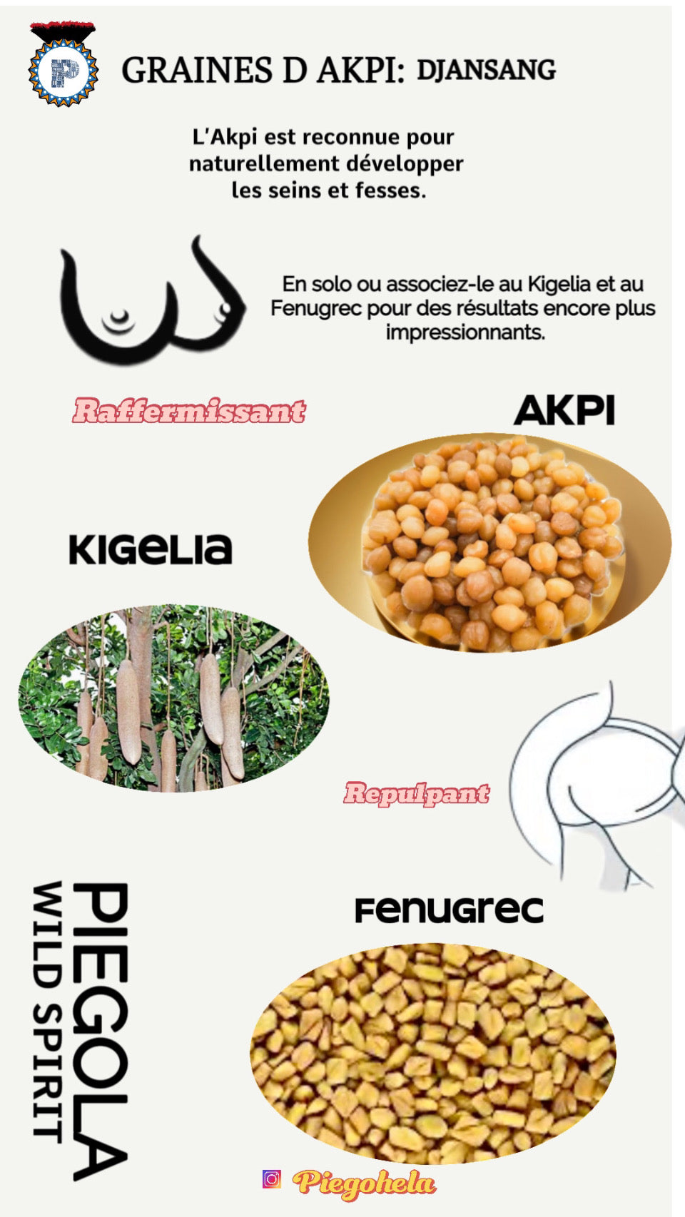 Graine d’ Akpi :Djansang