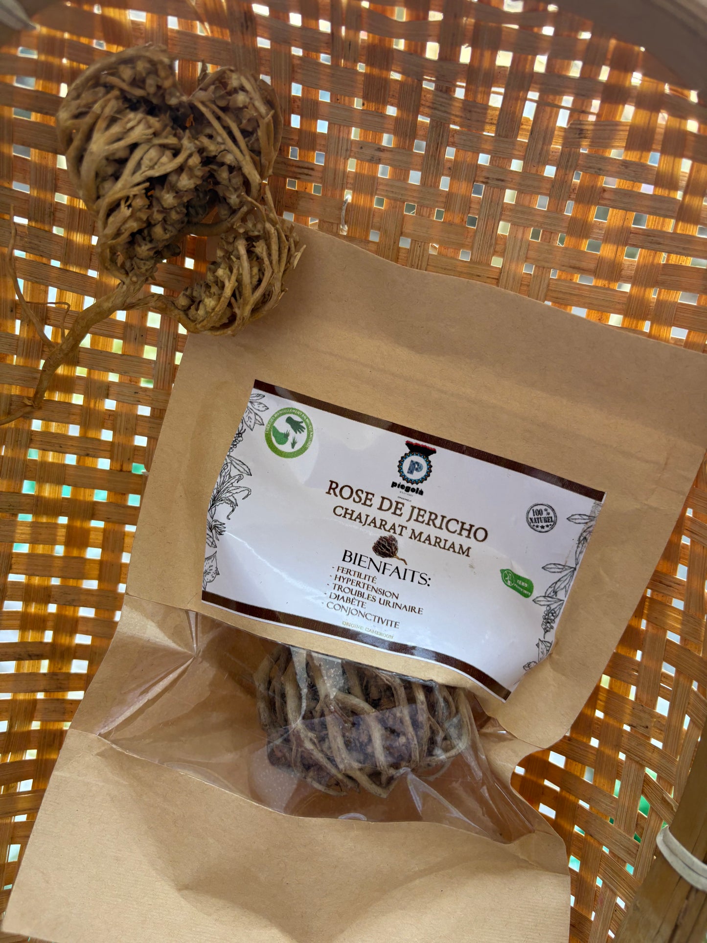 Rose de Jericho : Chajarat Mariam