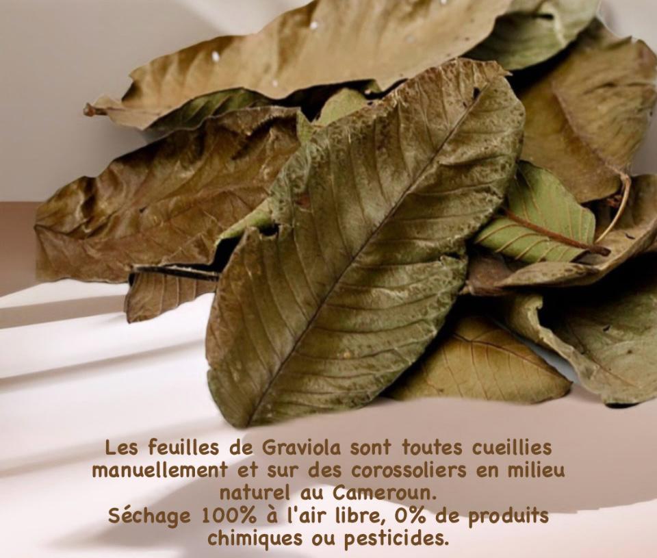 Feuilles de Corossol