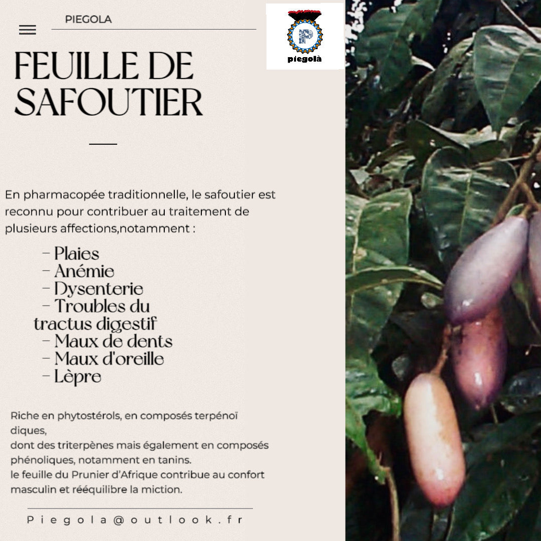 Feuilles de safoutier