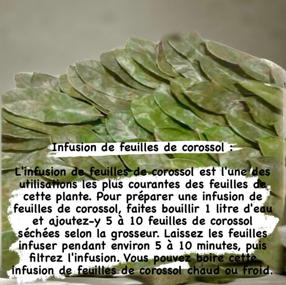 Feuilles de Corossol