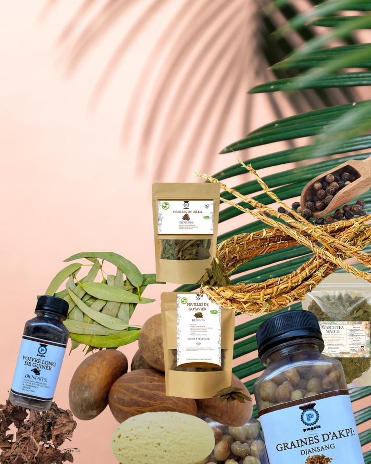 Plantes • Racines • Graines