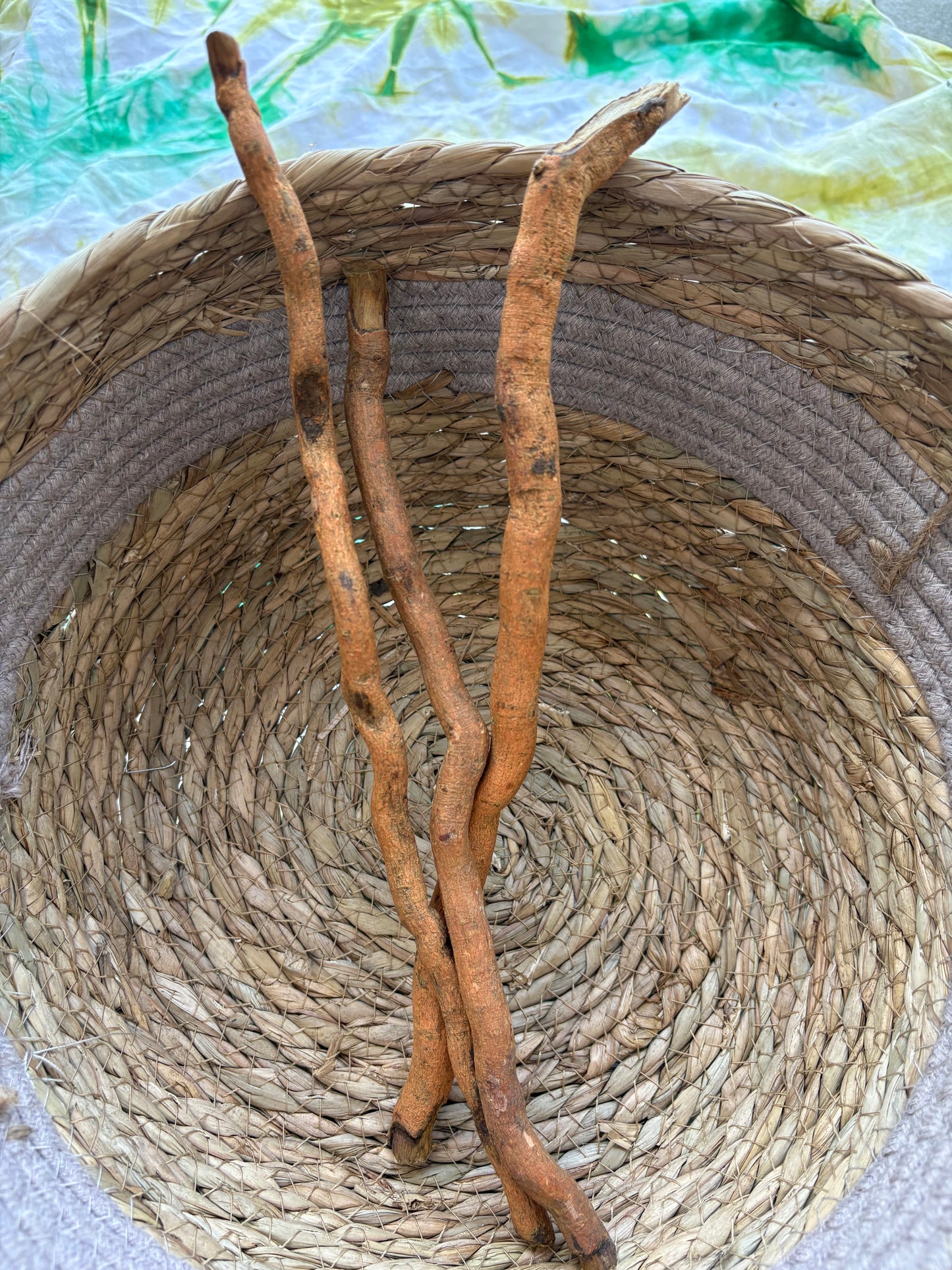 Siwak