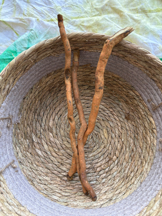 Siwak