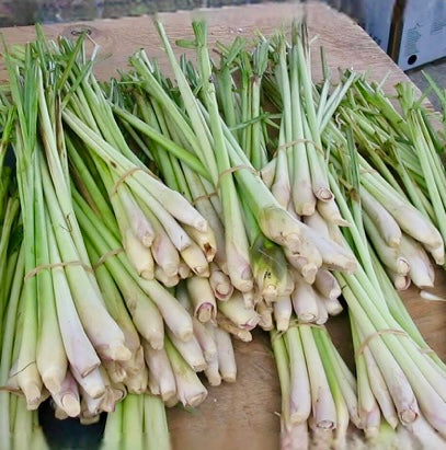 Citronnelle
