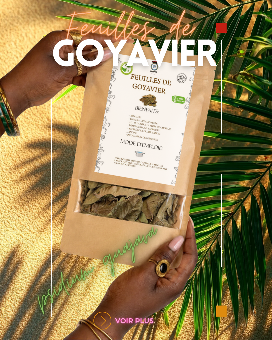 Feuilles de Goyavier