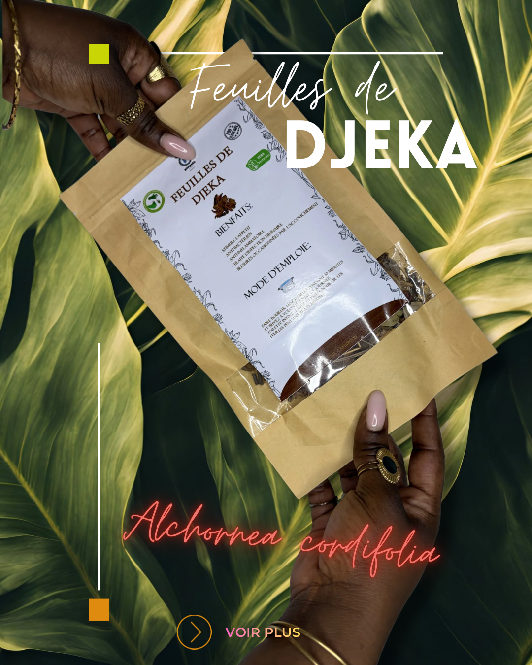 Feuilles de DJEKA