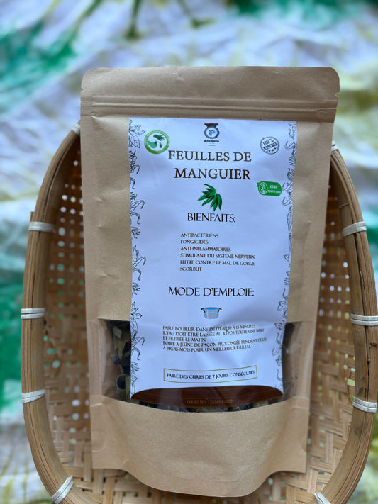 Feuilles de Manguier