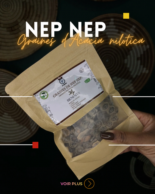 NEP NEP :Graines Acacia nilotica