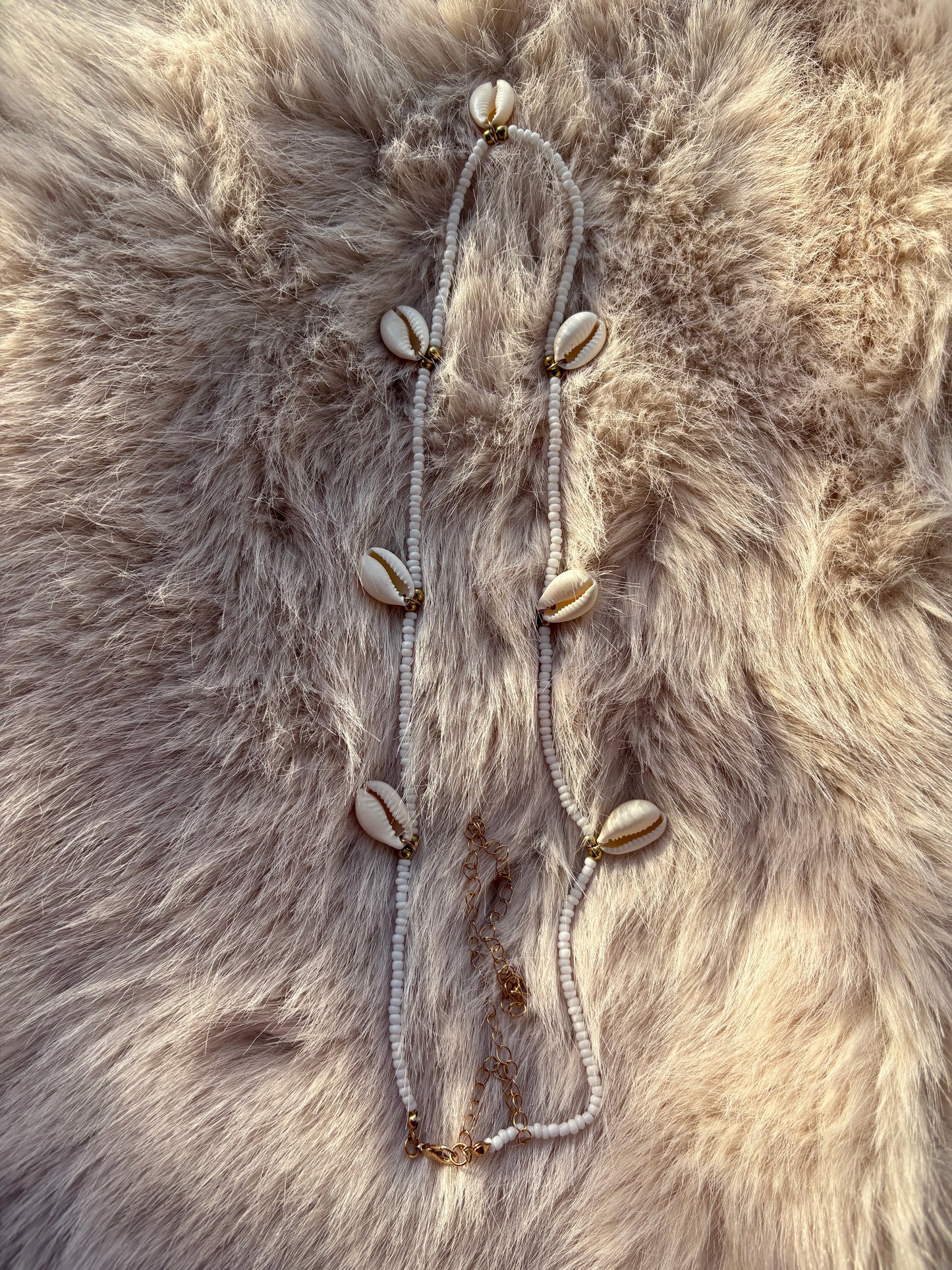 Baya Cauries