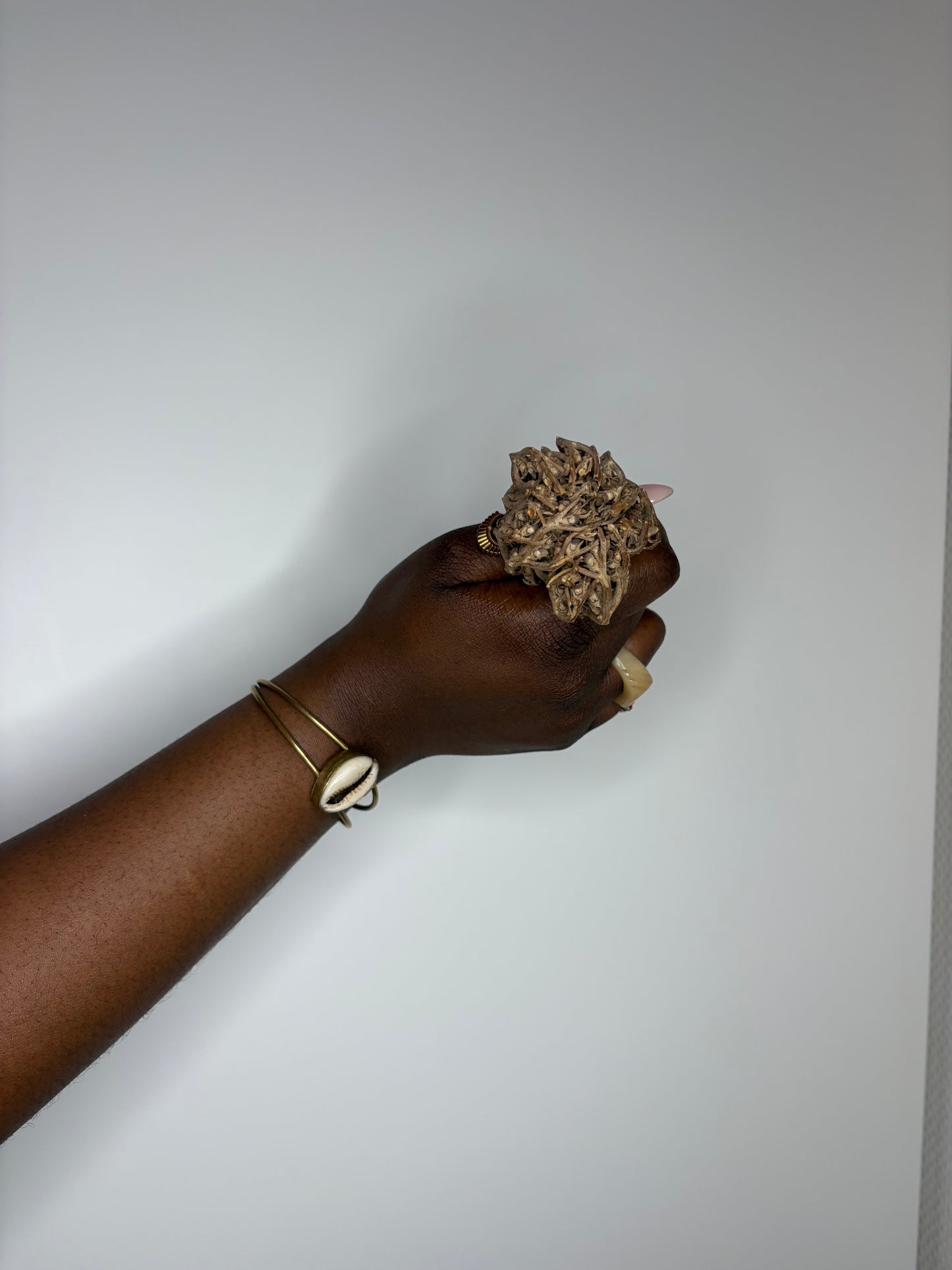 Bracelet en Bronze & Cauries