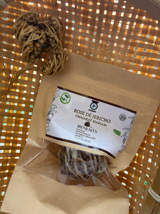Rose de Jericho : Chajarat Mariam