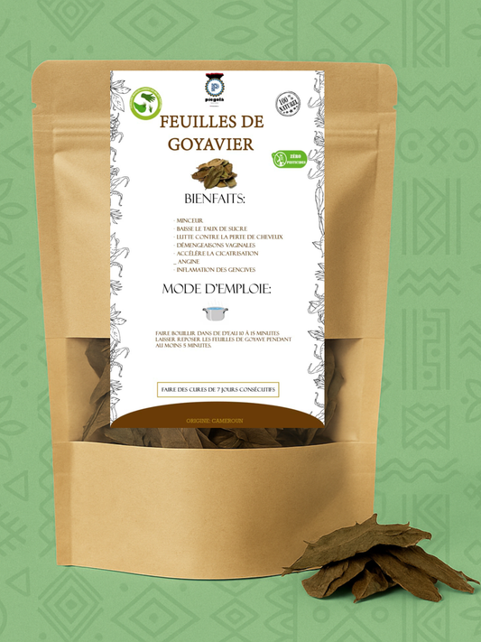 Feuilles de Goyavier