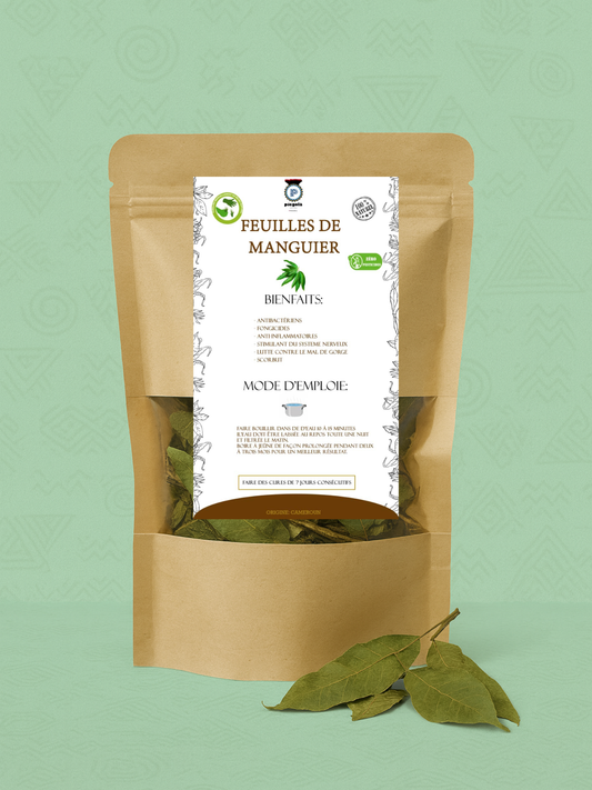 Feuilles de Manguier