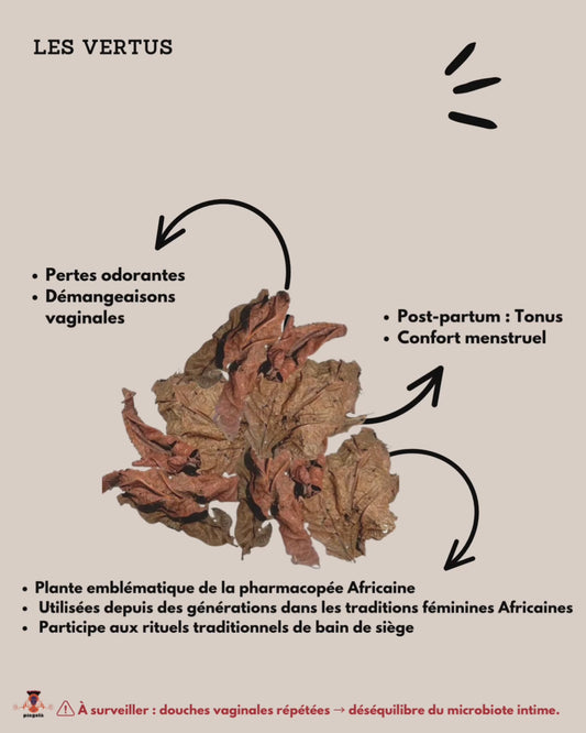 Feuilles de DJEKA